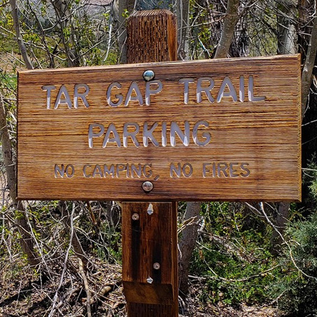tar gap